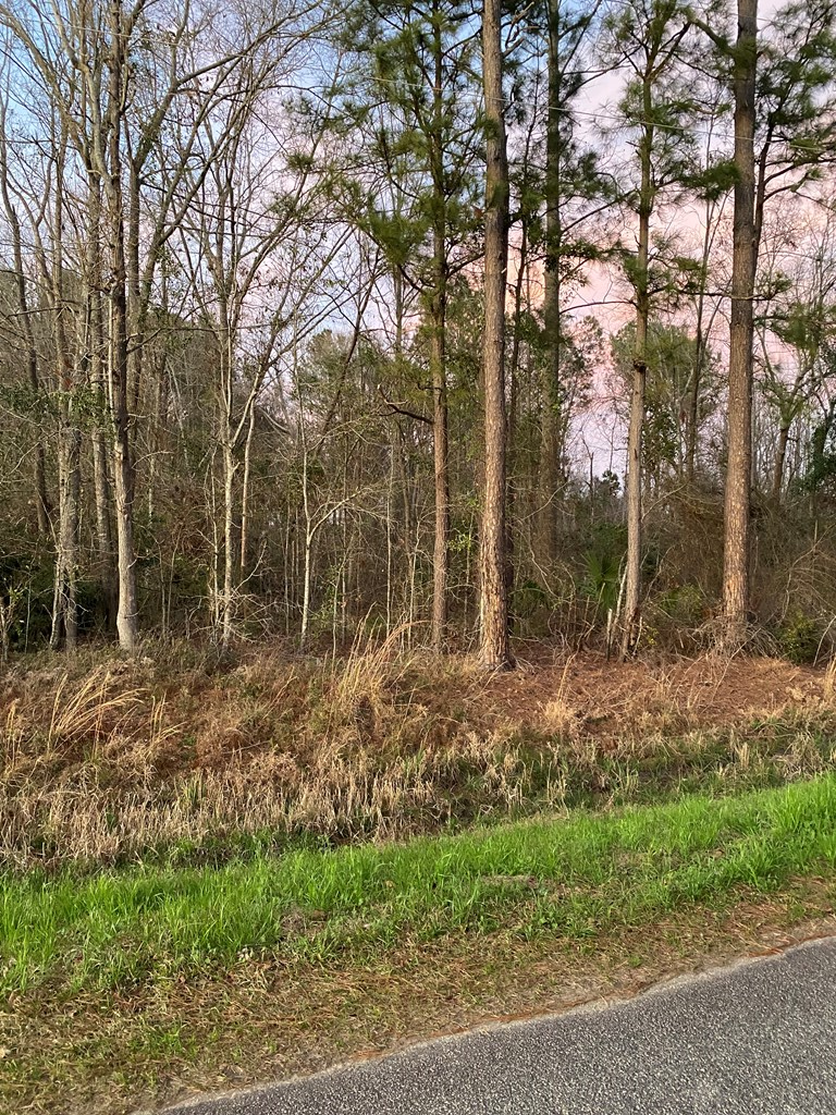 1035 Williams Road Barney, GA 31625 - Photo 8 of 21 Gallery Image 8