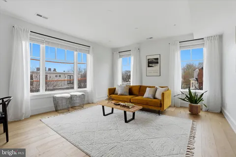 a living room with furniture and a potted plant with wooden floor
