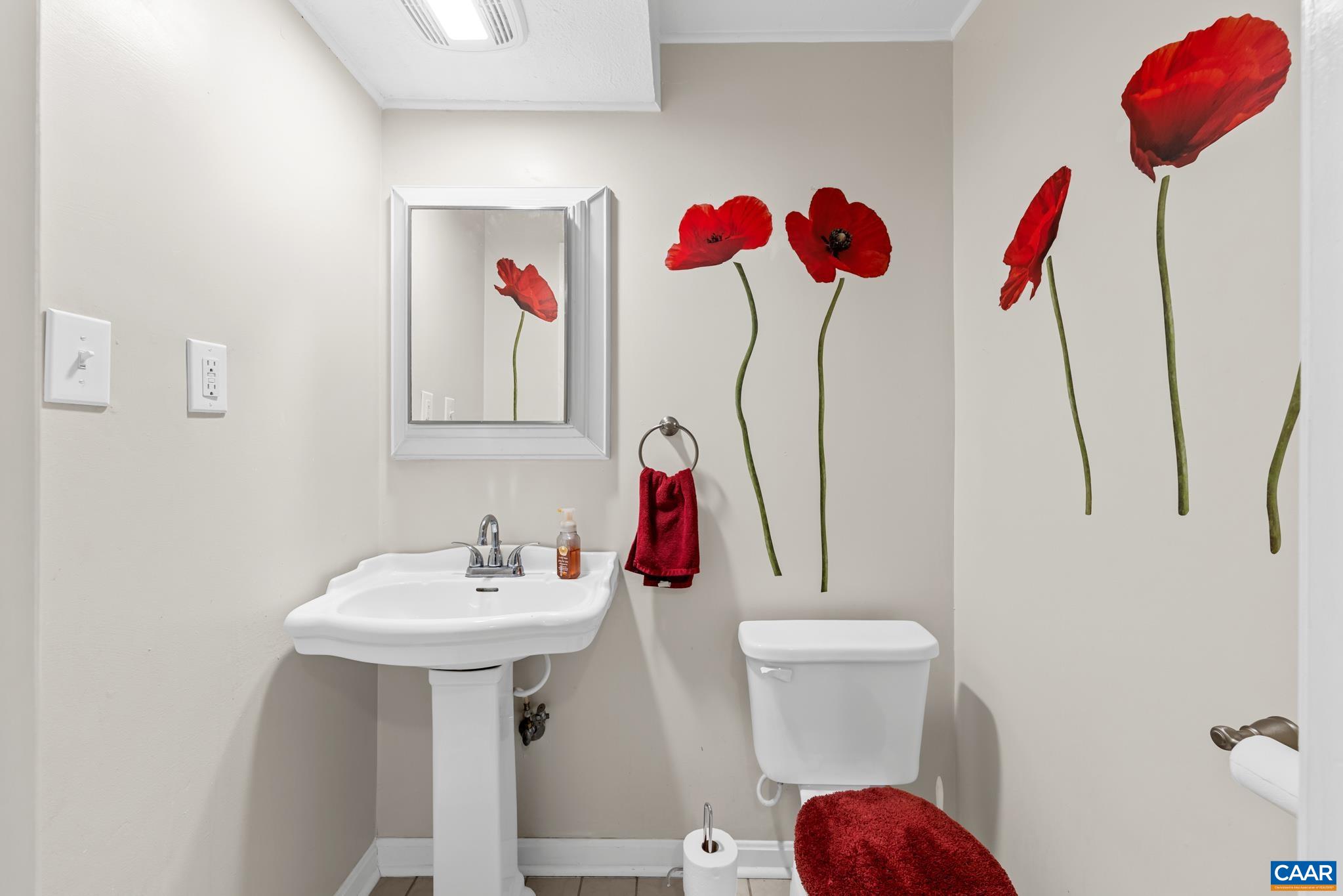 1029 West Daffodil Road Ruckersville, VA 22968 - Photo 30 of 39 a bathroom with a sink mirror and toilet