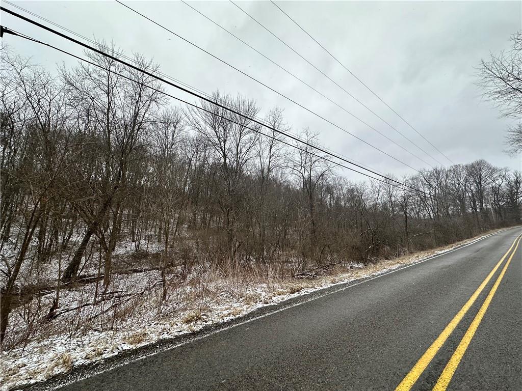 0 Hardins Run Road Clinton, PA 15026 - Photo 2 of 5