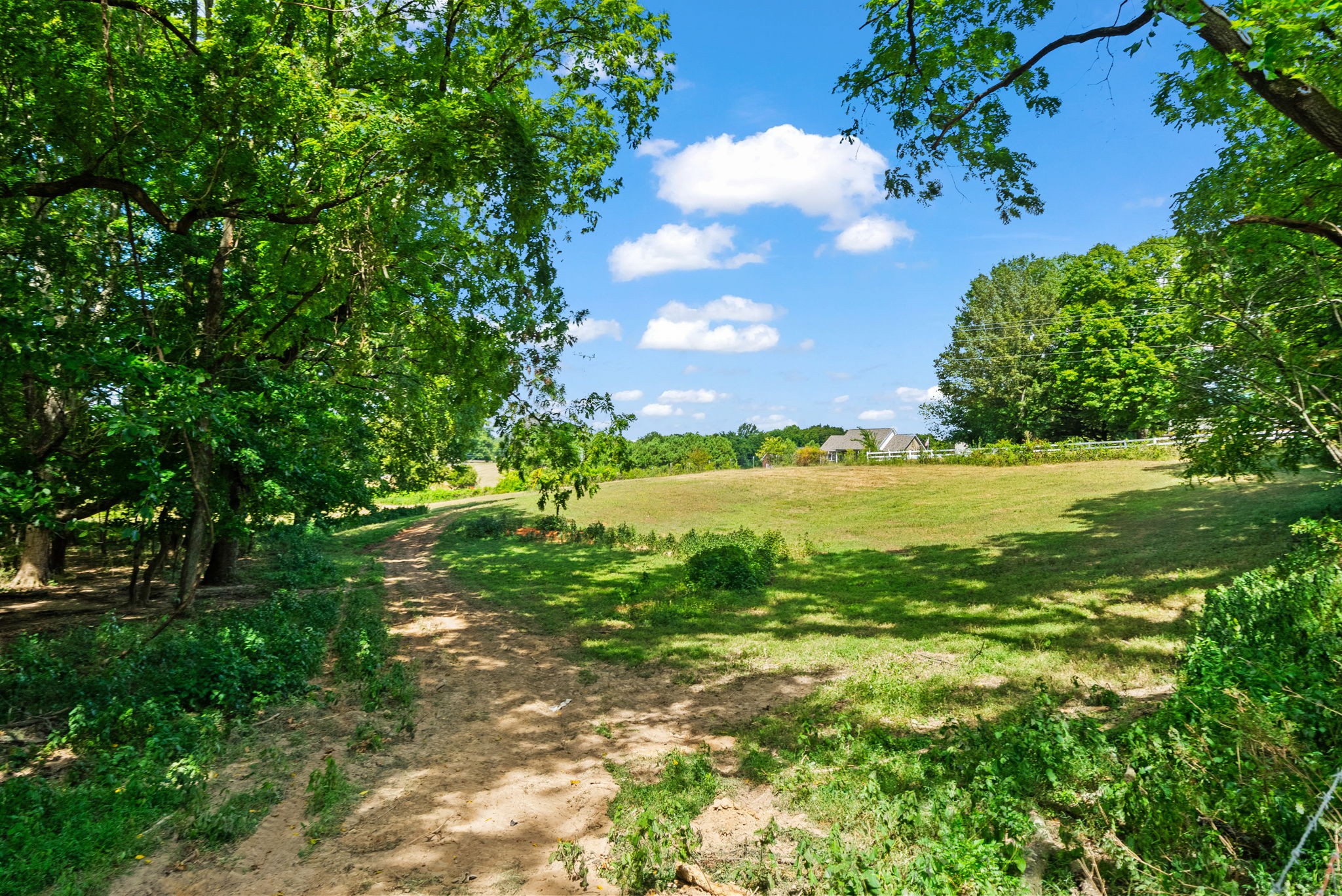 3389 Anderson Road Cedar Hill, TN 37032 - Photo 37 of 62