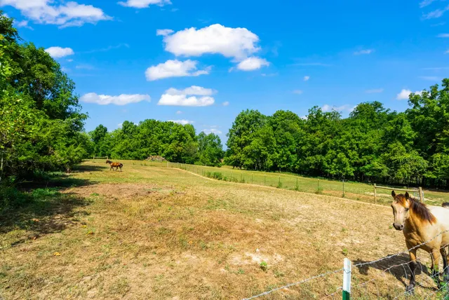 $650,000 | 3389 Anderson Road, Cedar Hill, TN 37032