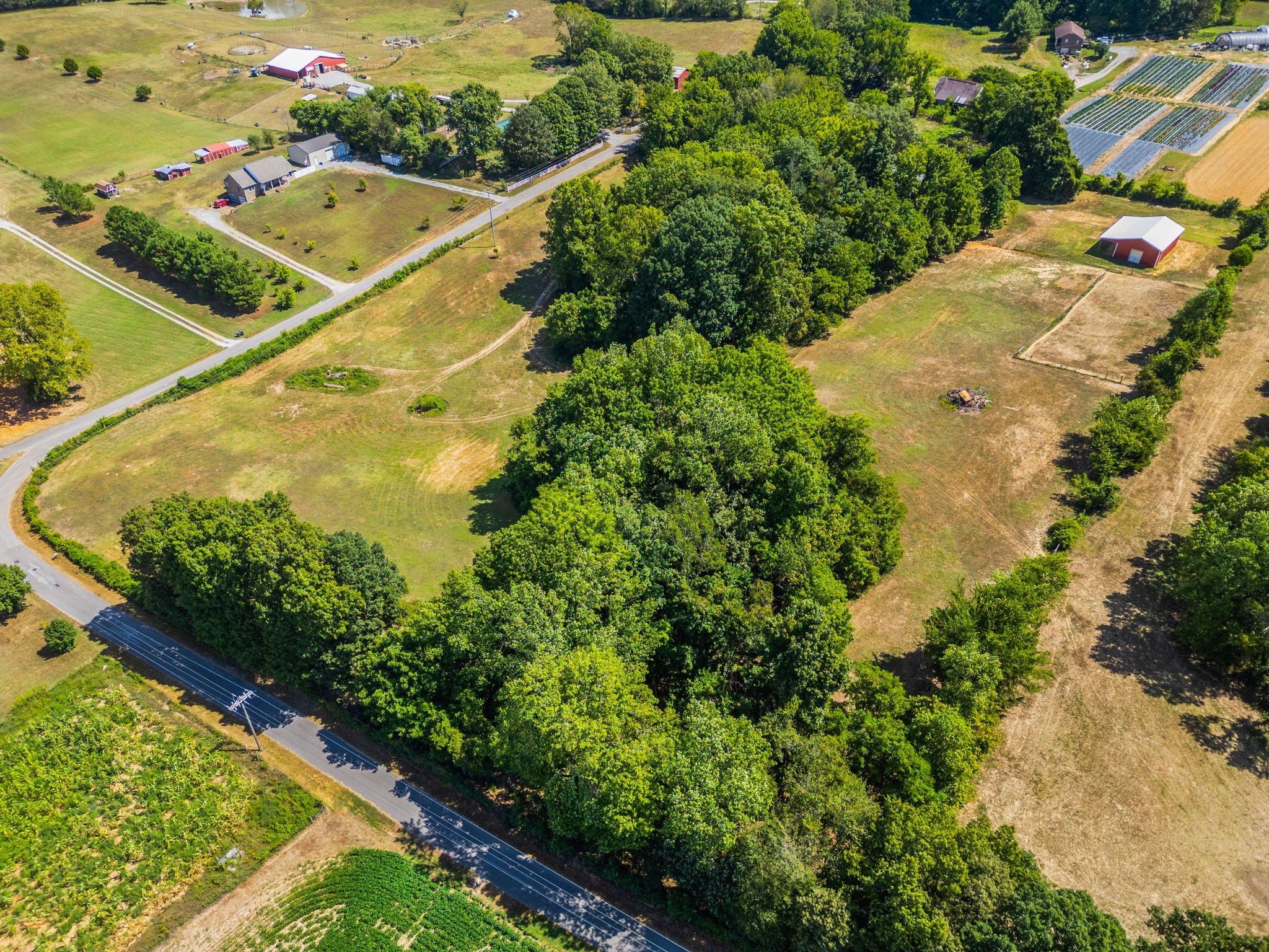 3389 Anderson Road Cedar Hill, TN 37032 - Photo 44 of 62