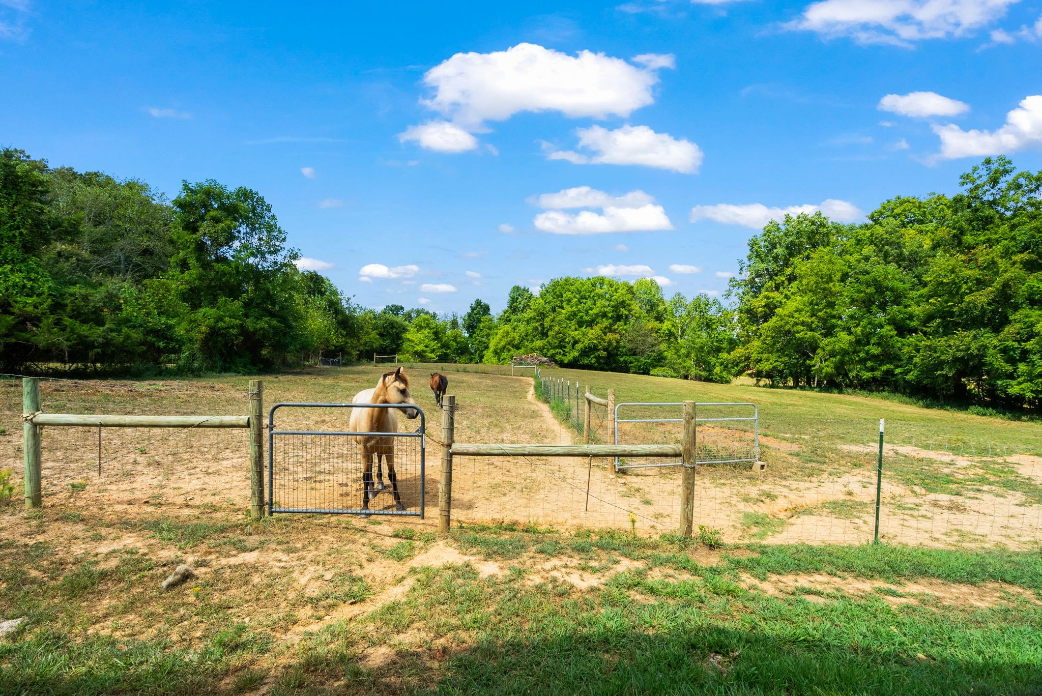 3389 Anderson Road Cedar Hill, TN 37032 - Photo 48 of 62