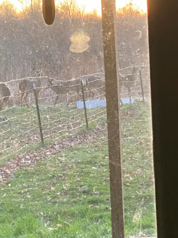 $529,900 | 1750 Fox Road, Jackson, MI 49201