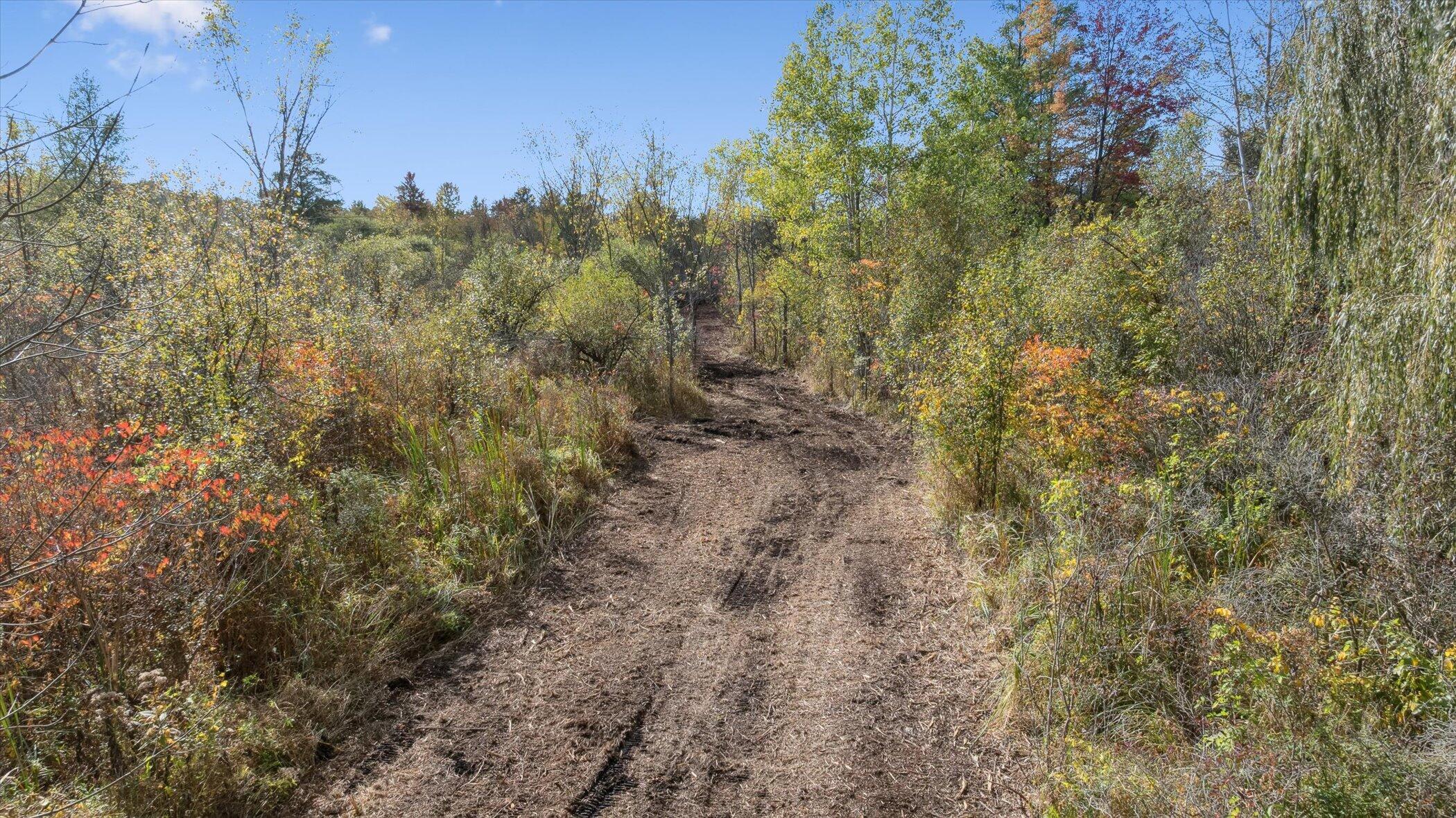 1750 Fox Road Jackson, MI 49201 - Photo 58 of 72 OPENING TO TRAILS