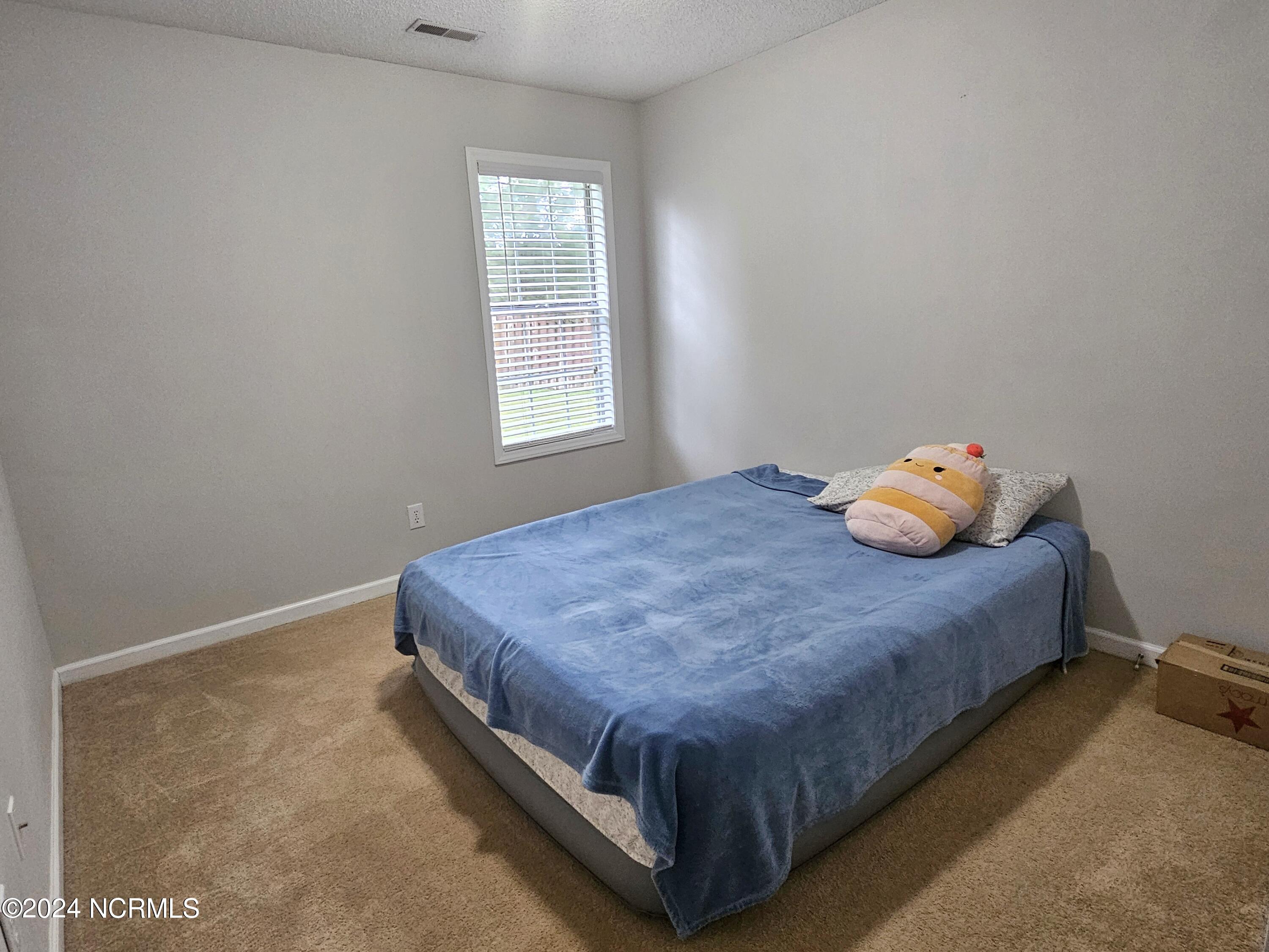 225 Natalie Lane Hubert, NC 28539 - Photo 13 of 15 Bedroom 3