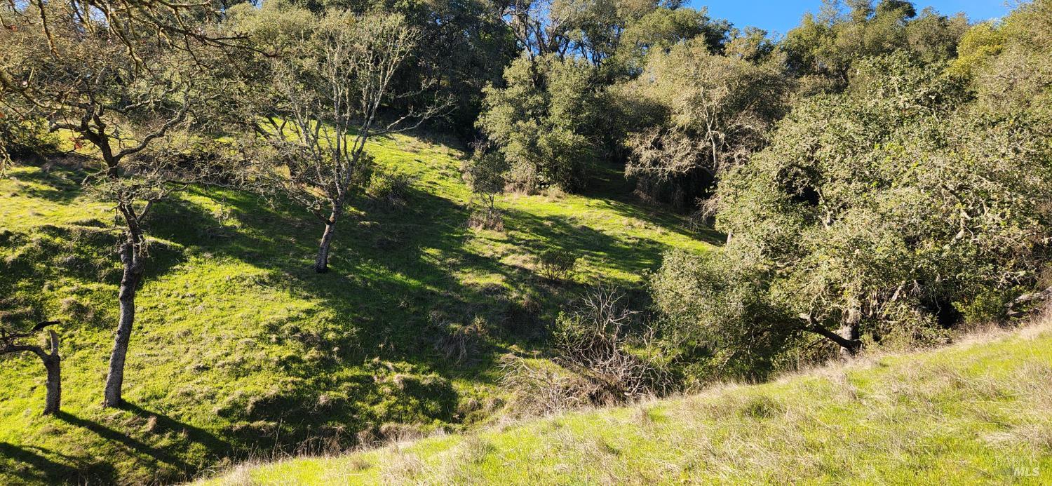 2101 Leslie Road Healdsburg, CA 95448 - Photo 16 of 22