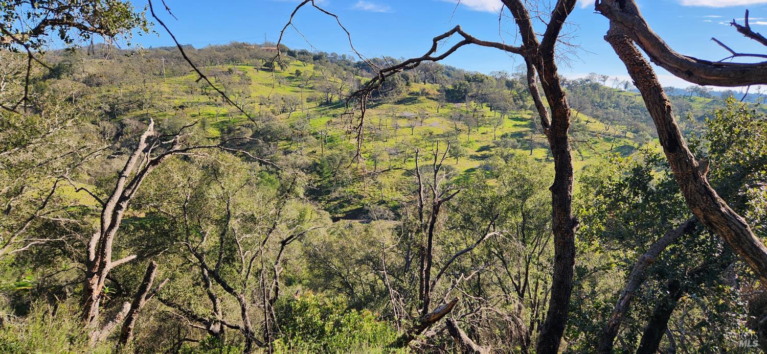 2101 Leslie Road Healdsburg, CA 95448 - Photo 17 of 22 a backyard of a house with lots of green space