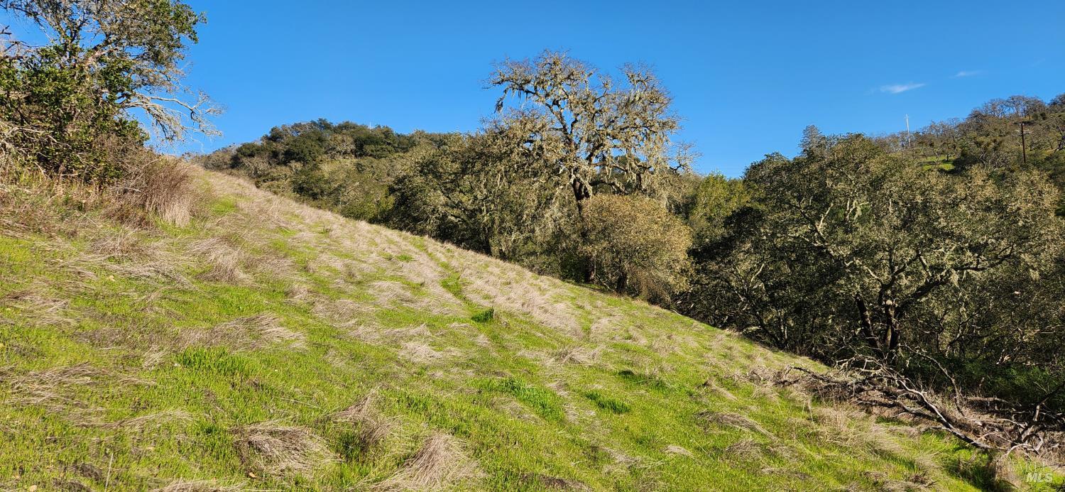 2101 Leslie Road Healdsburg, CA 95448 - Photo 19 of 22 a view of a field
