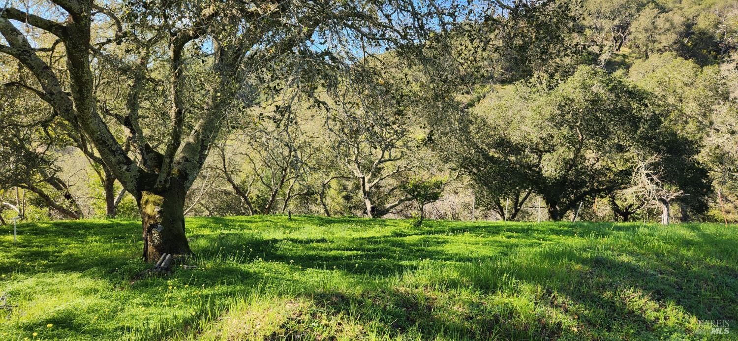 2101 Leslie Road Healdsburg, CA 95448 - Photo 2 of 22 a big yard with trees