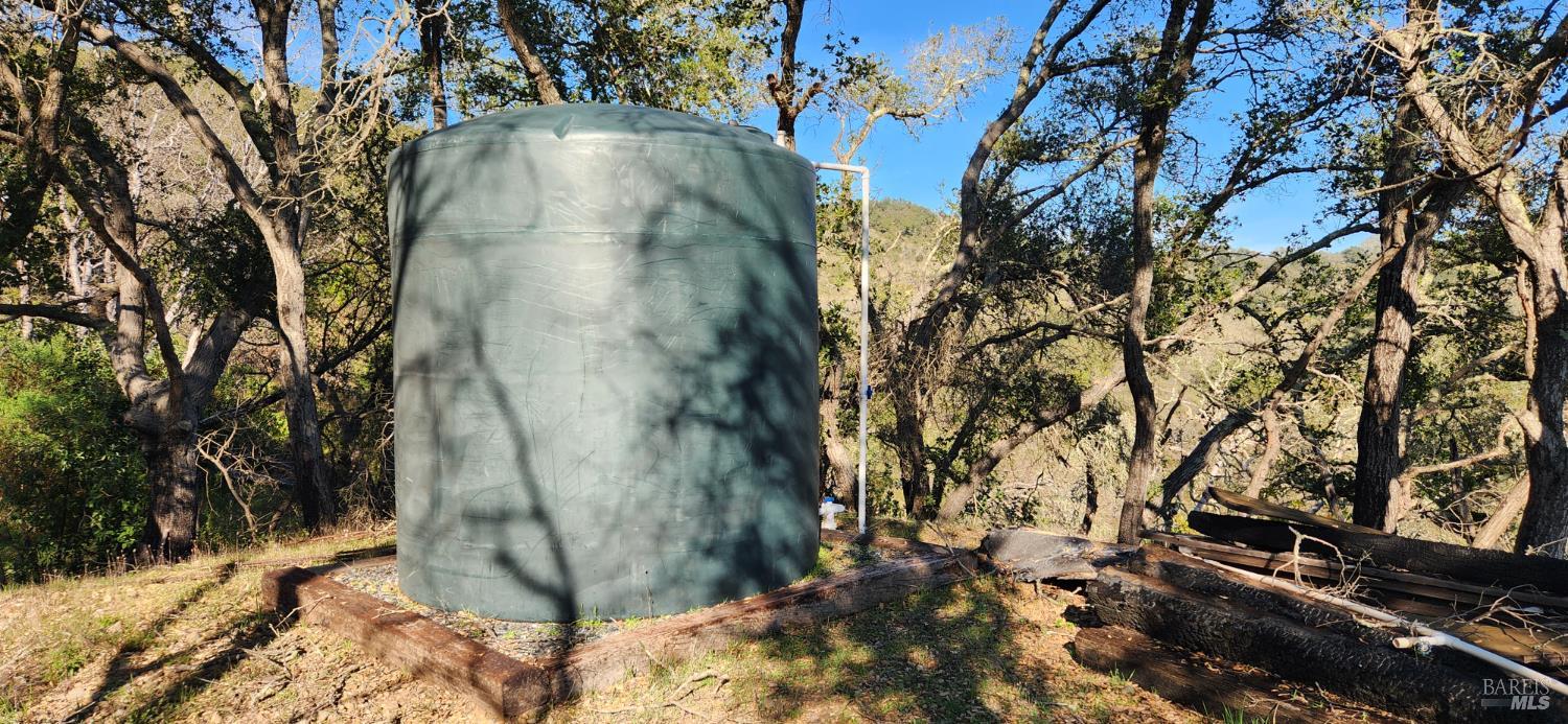 2101 Leslie Road Healdsburg, CA 95448 - Photo 21 of 22 a view of a tree with a yard