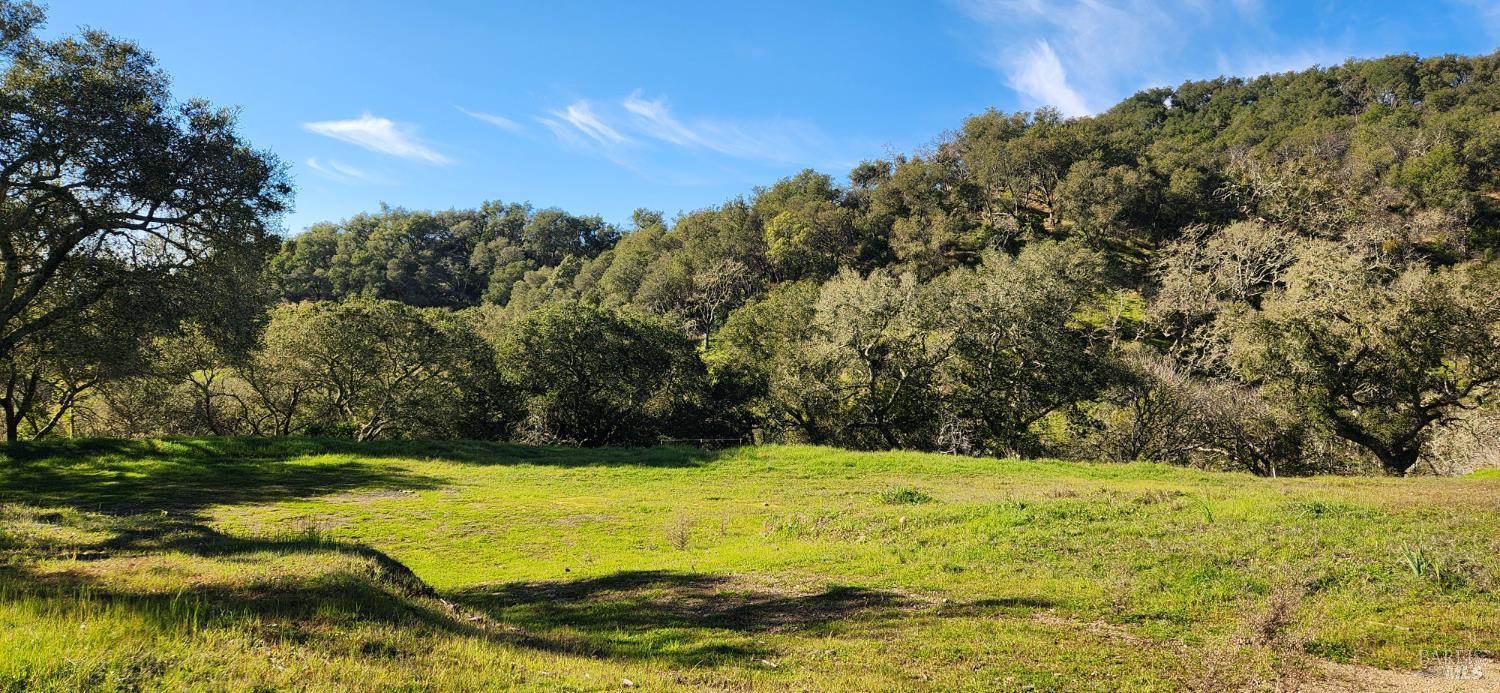 2101 Leslie Road Healdsburg, CA 95448 - Photo 9 of 22 a view of lawn chairs and yard