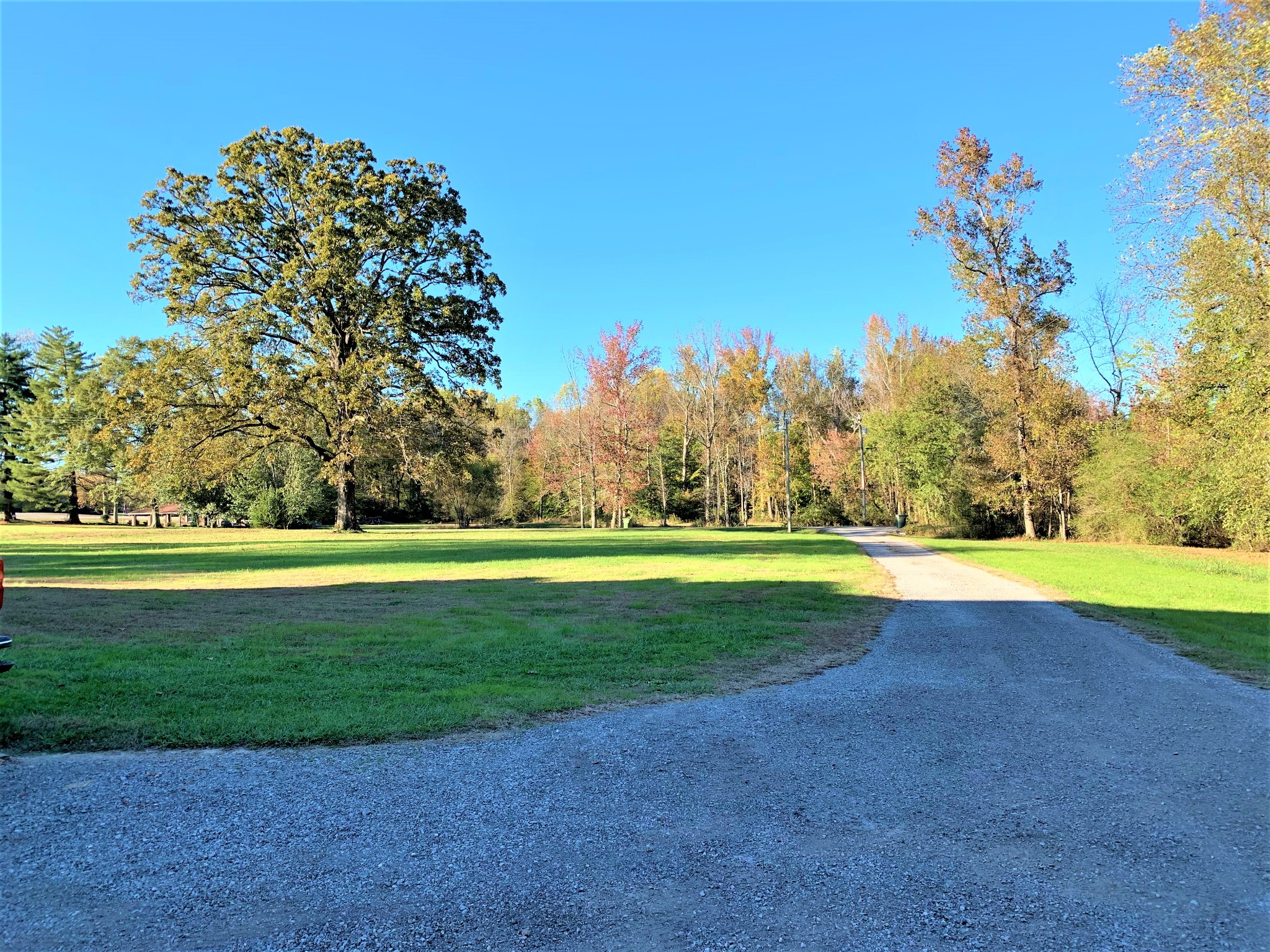 83 Old Quick Road Fayetteville, TN 37334 - Photo 9 of 41 a view of a golf course