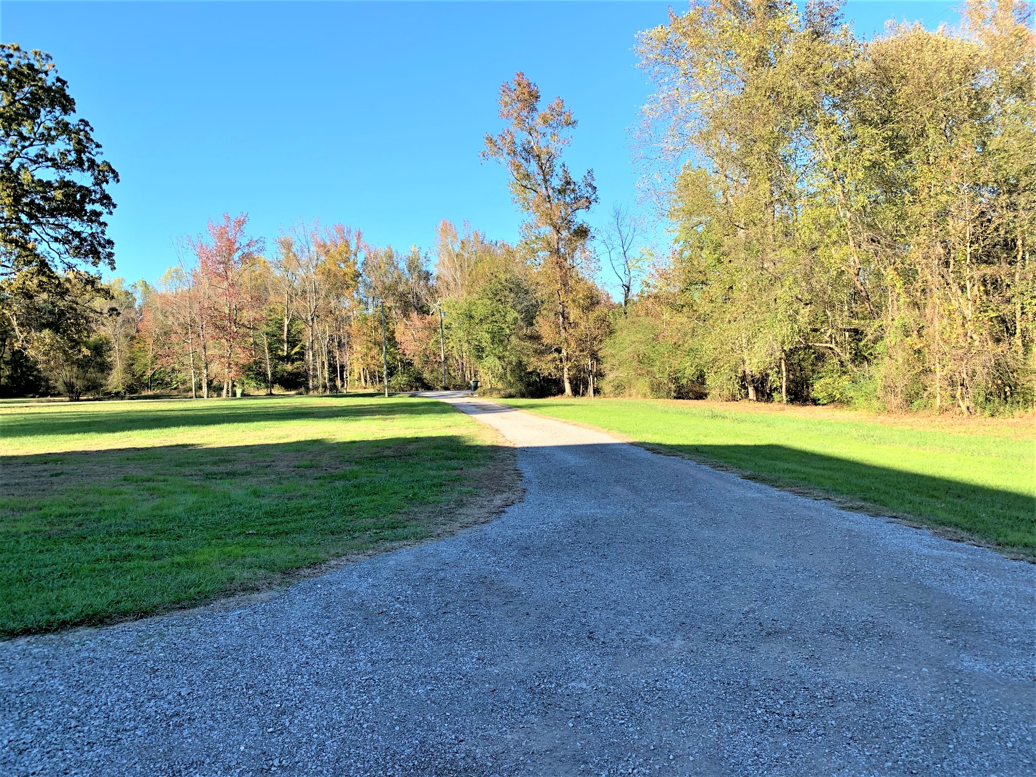 83 Old Quick Road Fayetteville, TN 37334 - Photo 10 of 41 a view of a golf course