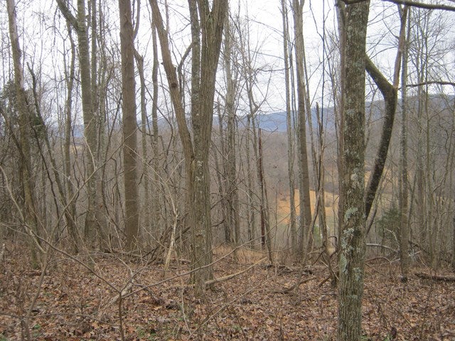 *** Sunset River Road, Unit 2 Ceres, VA 24318 - Photo 1 of 1 Gallery Image 1