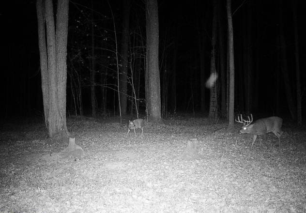 Ooo Snowshoe Road Wausau, WI 54403 - Photo 23 of 48