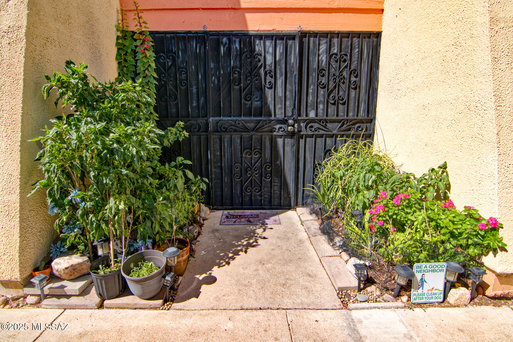 1620 North Wilmot Road, Unit E162 Tucson, AZ 85712 - Photo 2 of 20