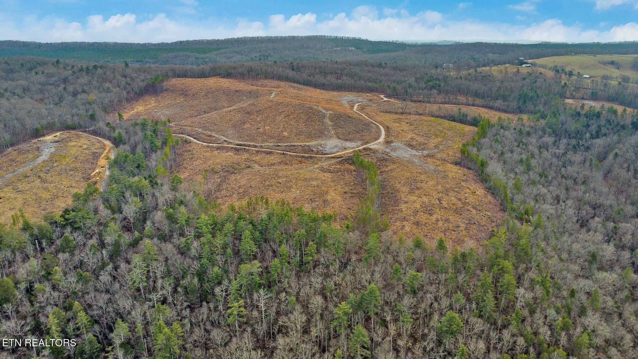 0 Possum Trot Road Grandview, TN 37337 - Photo 2 of 30 a view of a lake from a yard