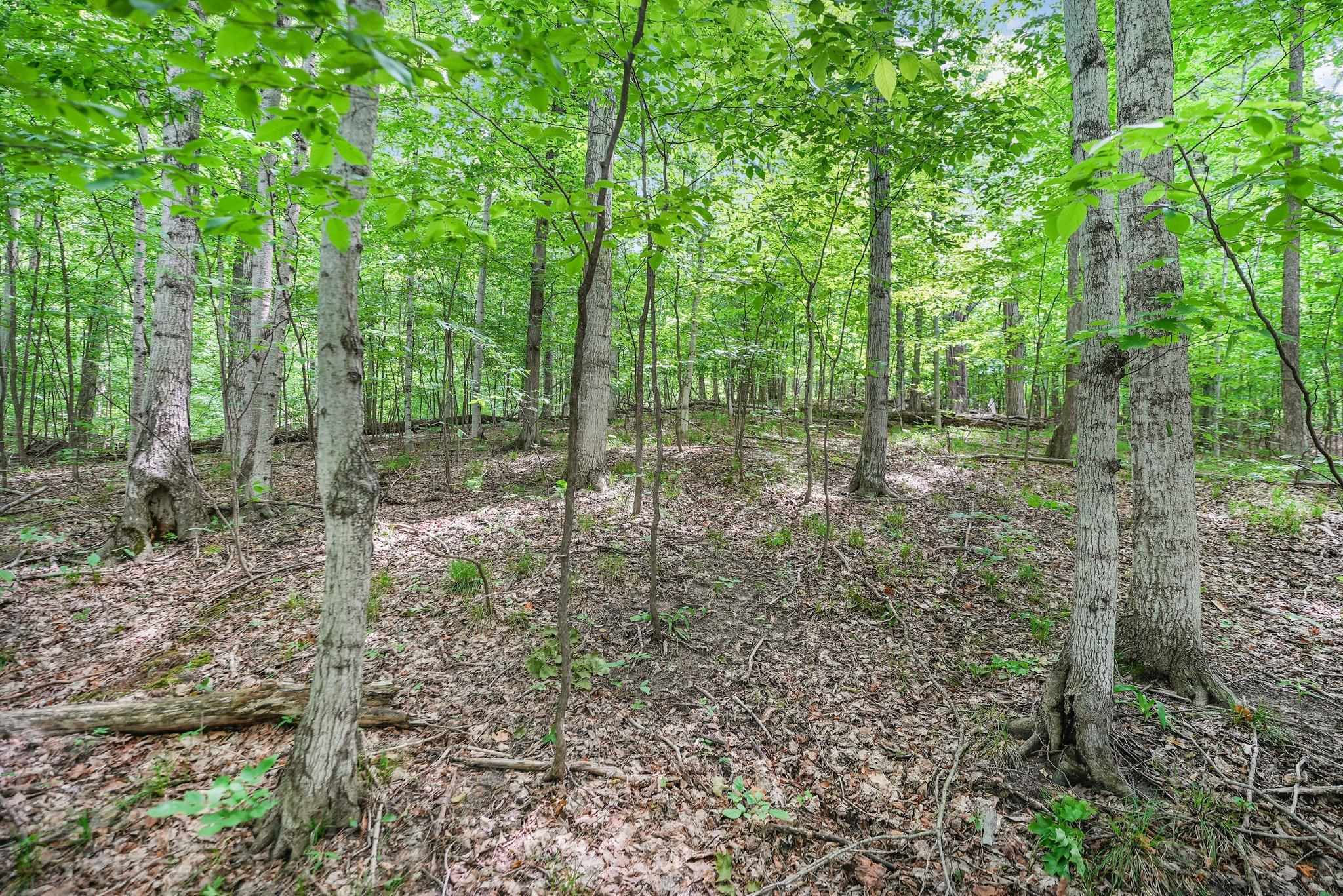 V/l South Coleman Road Maple City, MI 49664 - Photo 22 of 22