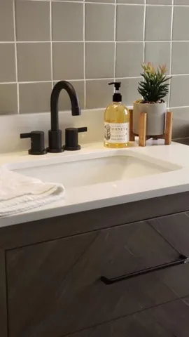 a bathroom with a sink and a potted plant