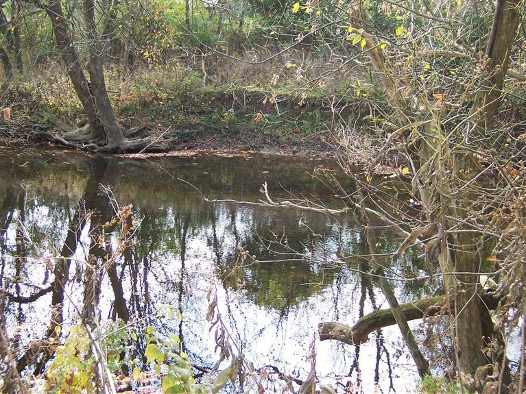 2382 Union Mill Road Nicholasville, KY 40356 - Photo 20 of 39 Photo 20