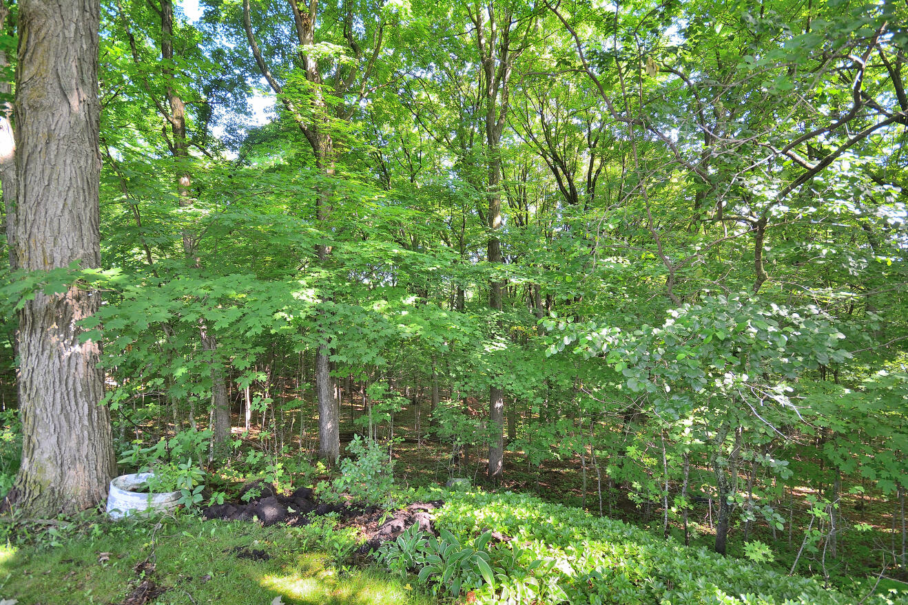 3076 Red Fox Circle Richfield, WI 53017 - Photo 39 of 71 MORE THAN 4 ACRES!