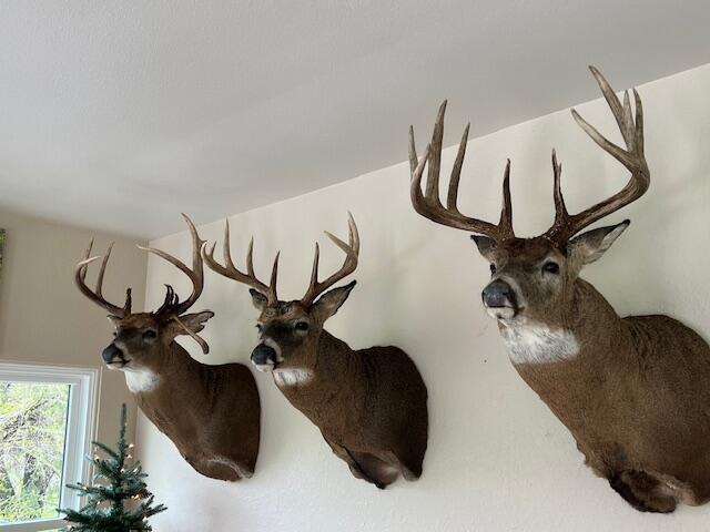 3076 Red Fox Circle Richfield, WI 53017 - Photo 64 of 71 Mounted Bucks from land