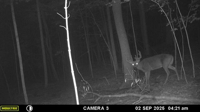 3076 Red Fox Circle Richfield, WI 53017 - Photo 65 of 71 Buck 2025