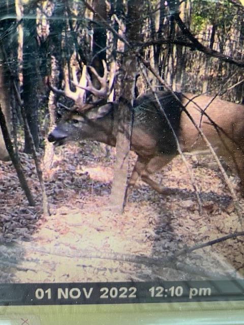 3076 Red Fox Circle Richfield, WI 53017 - Photo 66 of 71 Monster Buck