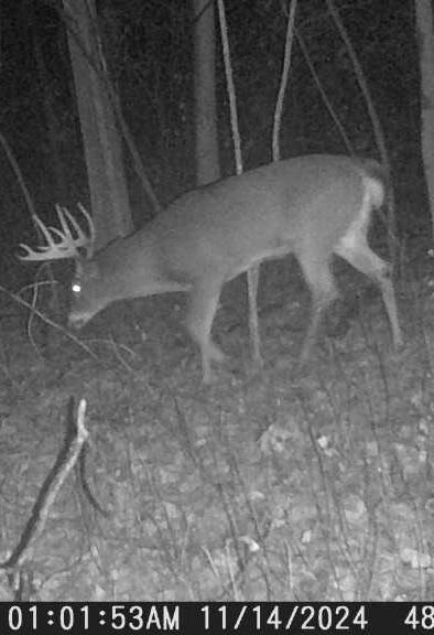 3076 Red Fox Circle Richfield, WI 53017 - Photo 67 of 71 Buck 2024