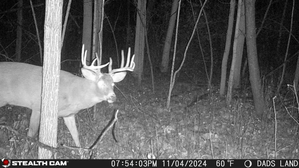 3076 Red Fox Circle Richfield, WI 53017 - Photo 68 of 71 Buck 2 2024