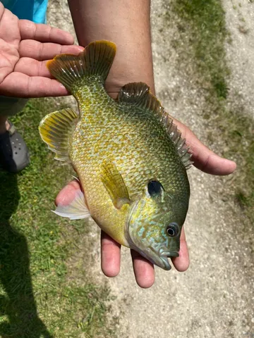 $759,000 | 3076 Red Fox Circle, Richfield, WI 53017