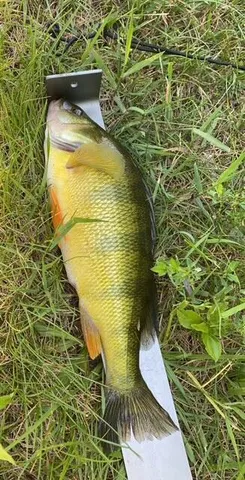 $759,000 | 3076 Red Fox Circle, Richfield, WI 53017