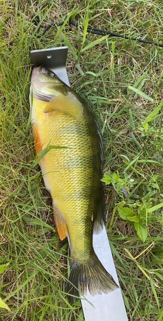 3076 Red Fox Circle Richfield, WI 53017 - Photo 71 of 71 IMG_2802