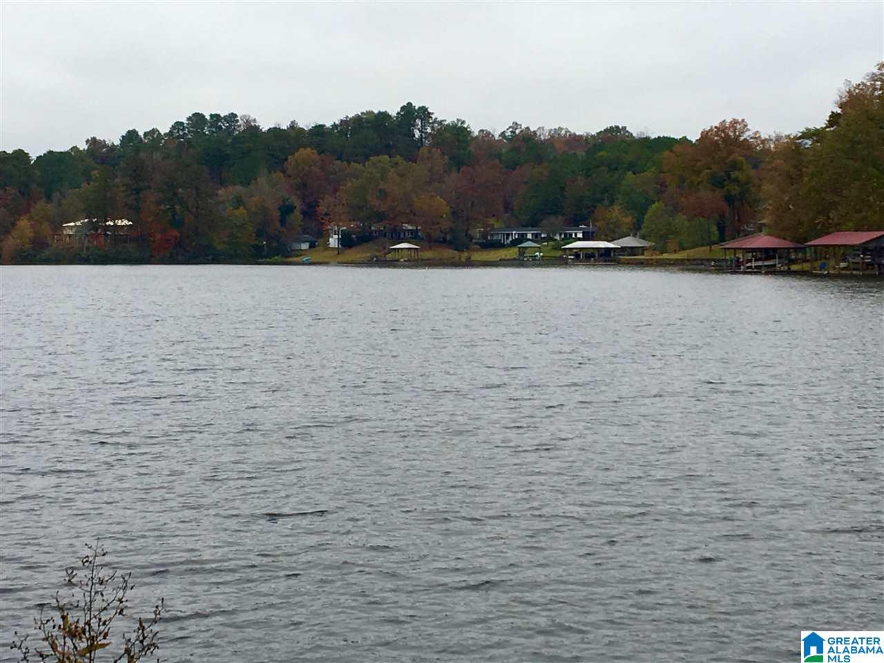 185 Lakeshore Circle Oneonta, AL 35121 - Photo 20 of 27