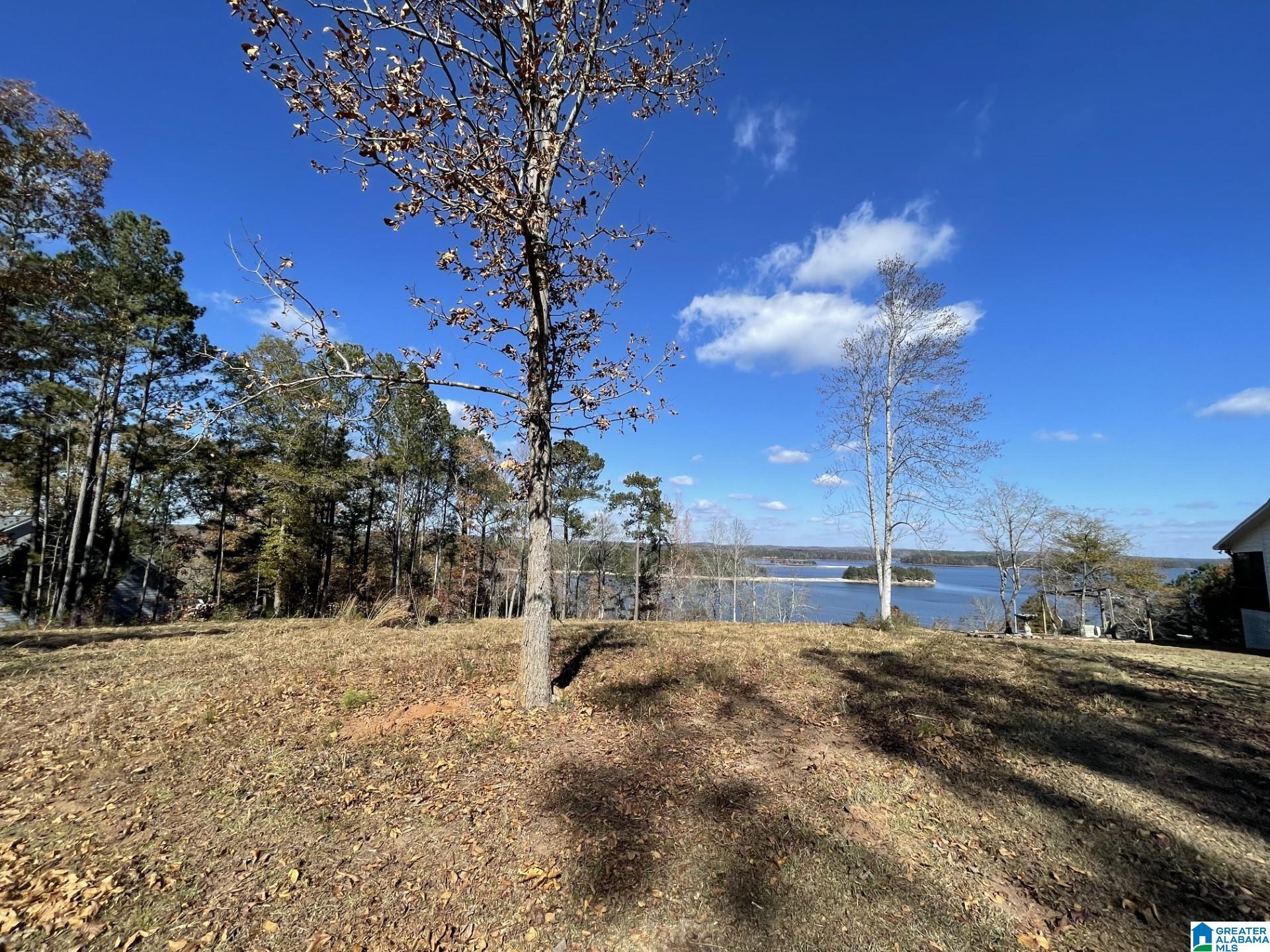 Overlook Drive, Unit 3 Lineville, AL 36266 - Photo 2 of 10