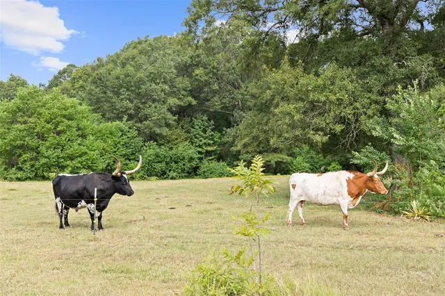 $945,500 | 1321 North Fm 1970, Timpson, TX 75975