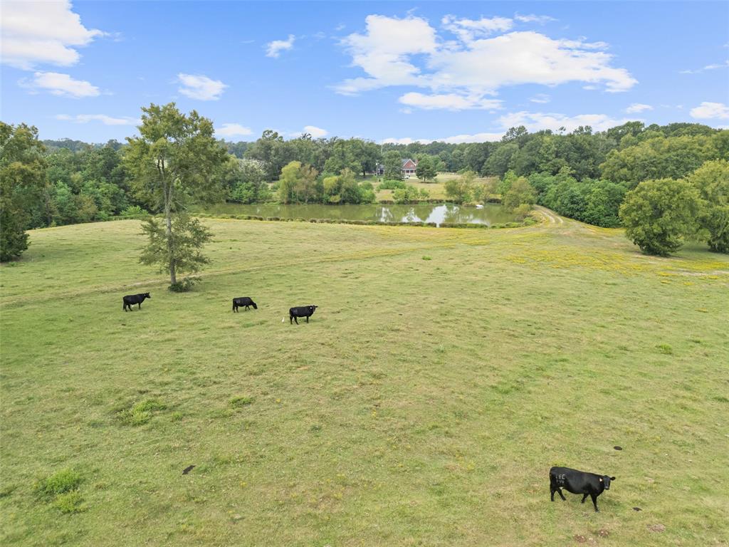 1321 North Fm 1970 Timpson, TX 75975 - Photo 25 of 29 a view of a lake view