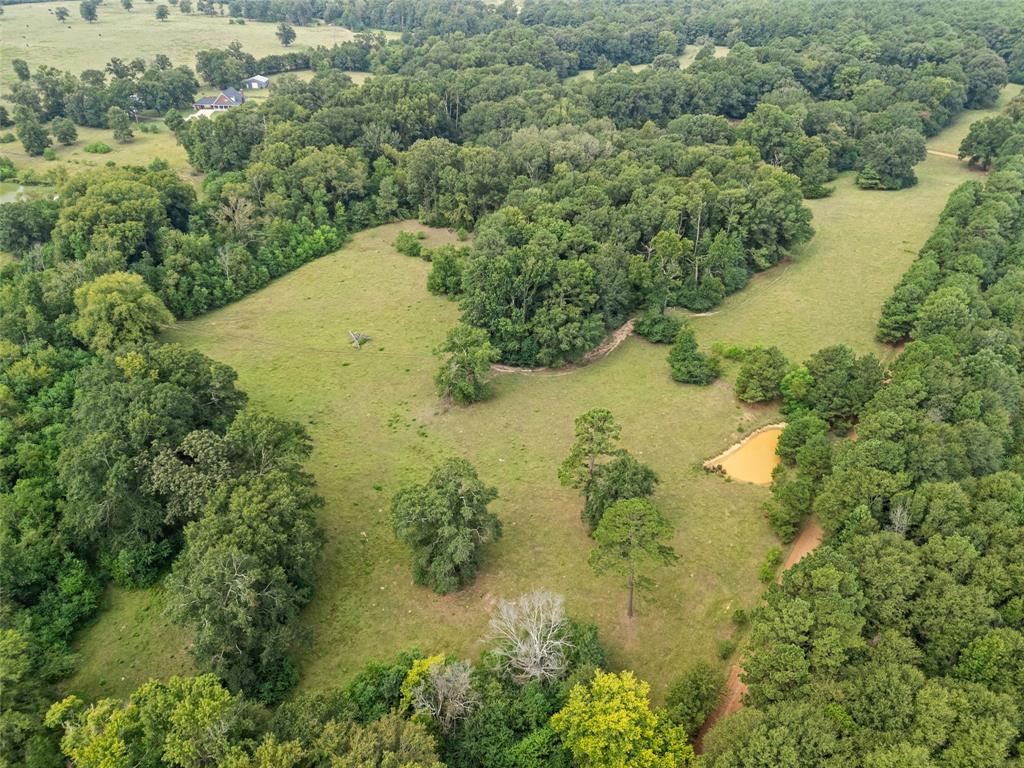 1321 North Fm 1970 Timpson, TX 75975 - Photo 27 of 29