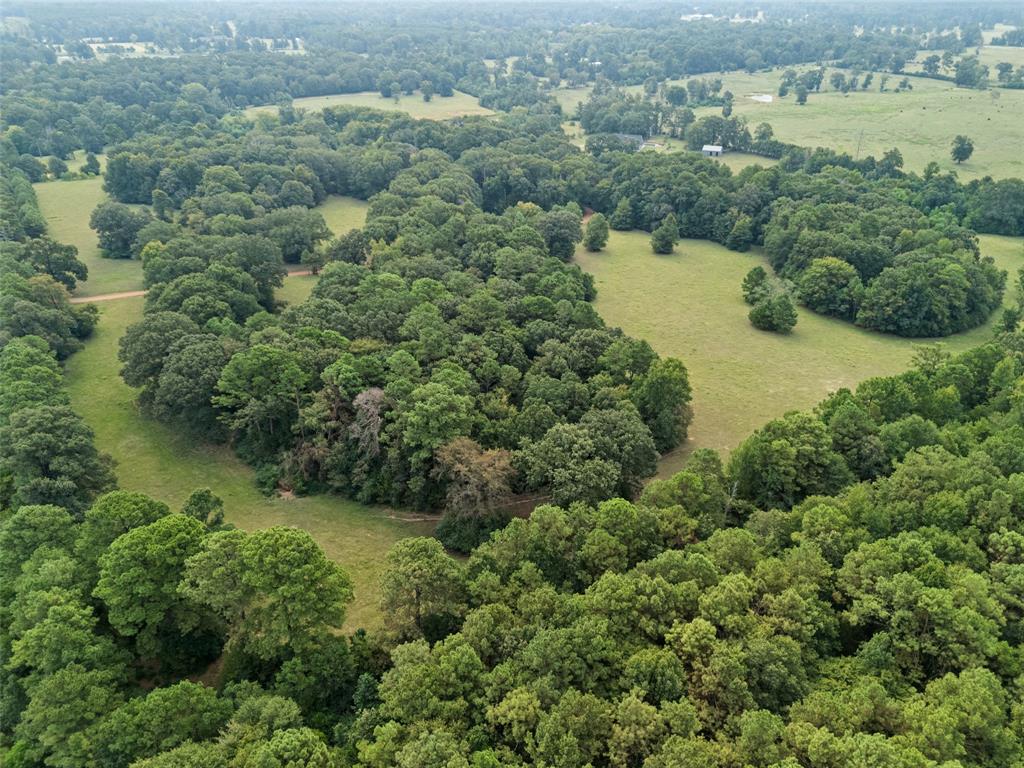 1321 North Fm 1970 Timpson, TX 75975 - Photo 28 of 29 an aerial view of residential houses with outdoor space and lake view