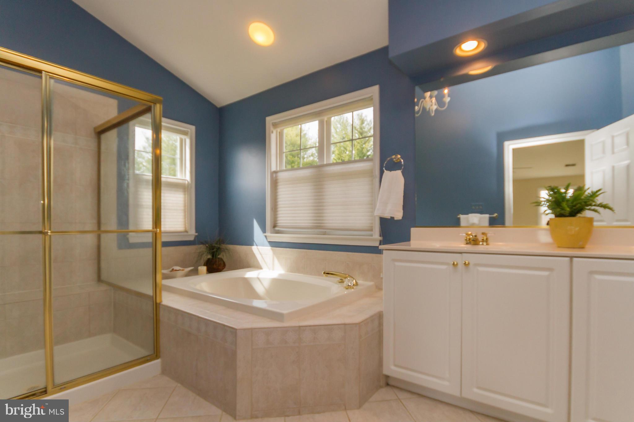 1901 Manor Grove Road Annapolis, MD 21401 - Photo 20 of 30 Master Bathroom