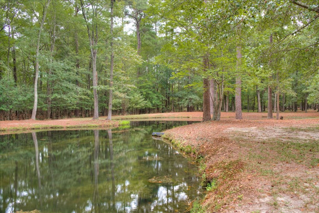 148 Twin Creek Farm Road Aiken, SC 29805 - Photo 37 of 62