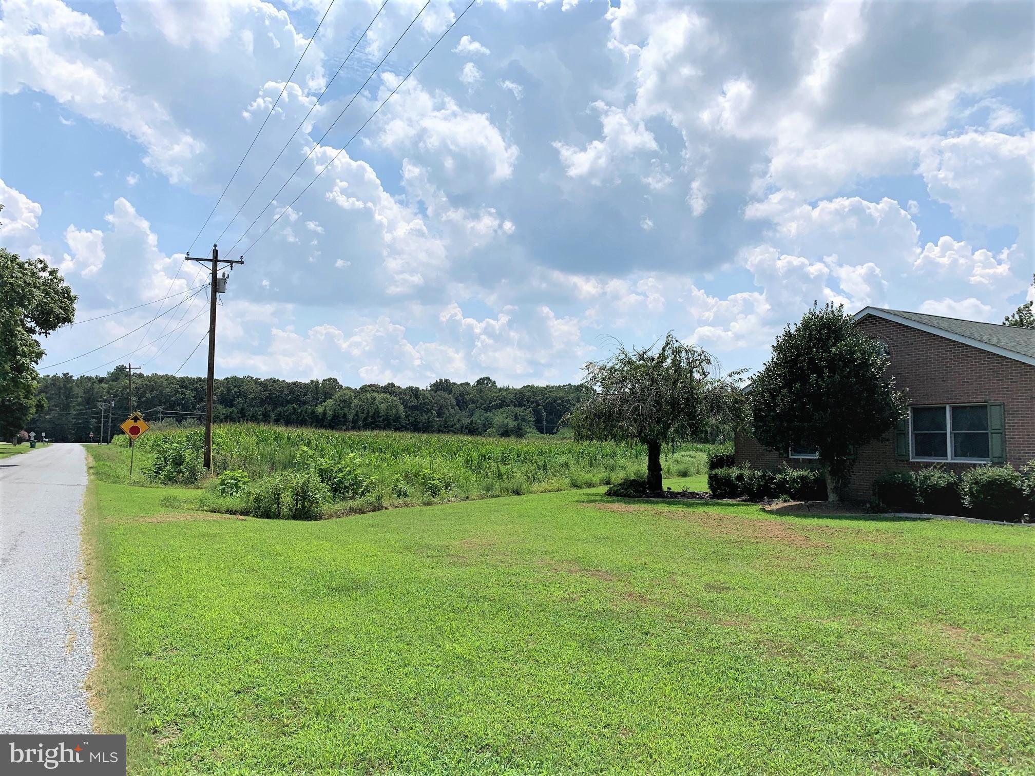 17 Road 438 Harrington, DE 19952 - Photo 1 of 1 3.70 AC on Hogtown Rd.