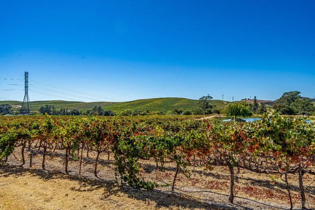 $2,350,000 | 1289 Duhig Road, Napa, CA 94559