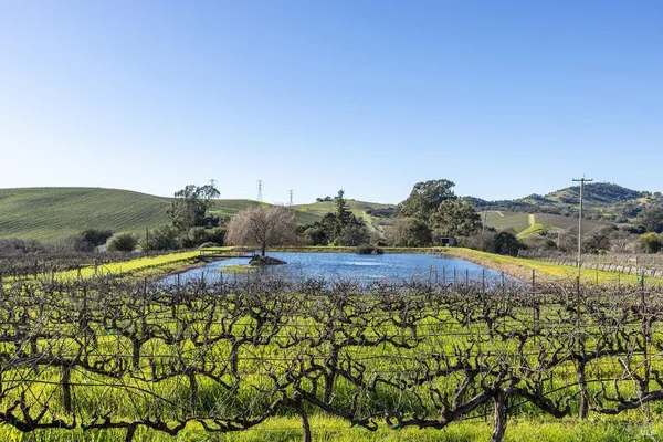 $1,775,000 | 1289 Duhig Road, Napa, CA 94559