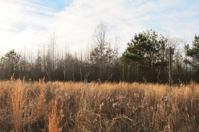 383 Permenter Road Camden, MS 39045 - Photo 6 of 20 Photo 6