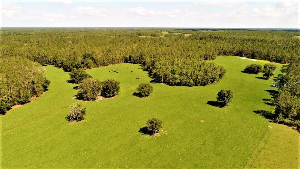 Deen Still Road West Lakeland, FL 33809 - Photo 1 of 1 Gallery Image 1