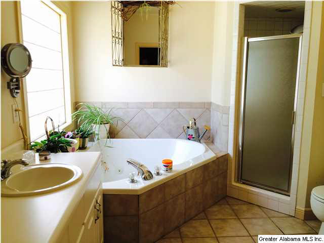 2335 Holmans Cross Road Sylacauga, AL 35150 - Photo 10 of 16