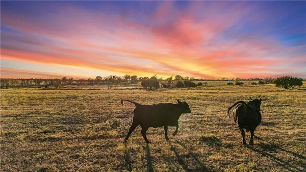 $1,950,000 | 318 Cr 3355 Valley Mills, Valley Mills, TX 76689